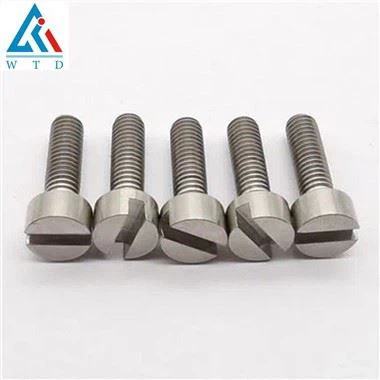 टाइटेनियम स्लॉटेड चीज़ हेड स्क्रू